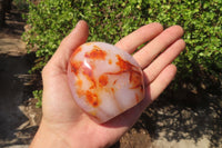 Polished Carnelian Standing Free Forms x 4 From Madagascar