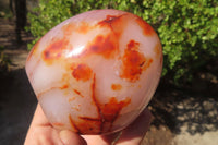 Polished Carnelian Standing Free Forms x 4 From Madagascar