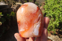 Polished Carnelian Standing Free Forms x 4 From Madagascar