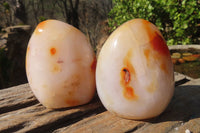 Polished Carnelian Standing Free Forms x 4 From Madagascar