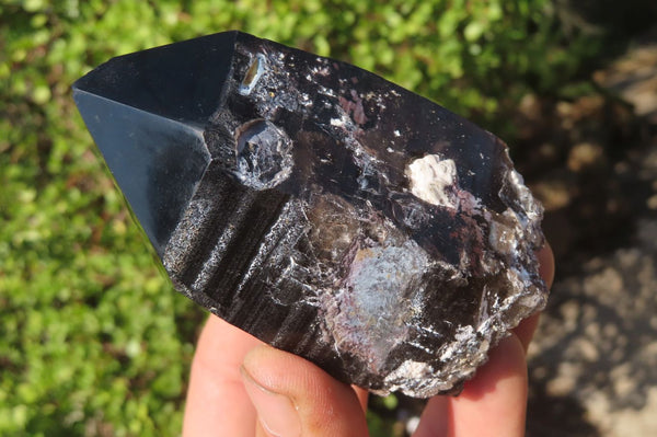 Polished Smokey Quartz Crystal Specimens x 2 From Zomba, Malawi