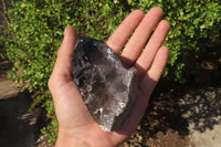 Polished Smokey Quartz Crystal Specimens x 2 From Zomba, Malawi