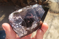 Polished Smokey Quartz Crystal Specimens x 2 From Zomba, Malawi