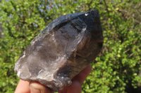 Polished Smokey Quartz Crystal Specimens x 2 From Zomba, Malawi