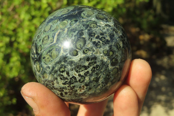 Polished Stromatolite Jasper Spheres x 5 From Madagascar