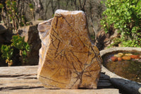 Polished On One Side Nguni Jasper Specimens x 2 From Prieska, South Africa