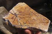 Polished On One Side Nguni Jasper Specimens x 2 From Prieska, South Africa