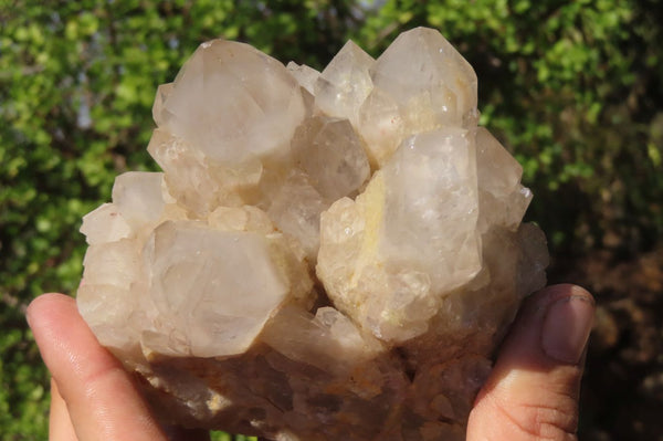 Natural Smokey Quartz Clusters x 2 From Luena, Congo