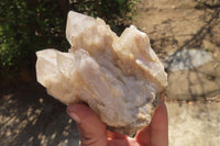 Natural Smokey Quartz Clusters x 2 From Luena, Congo