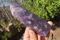 Polished Lepidolite Points x 6 From Madagascar