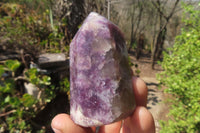 Polished Lepidolite Points x 6 From Madagascar