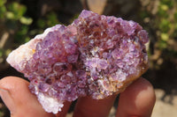 Natural Amethystos Amethyst Specimens x 35 From Kwaggafontein, South Africa