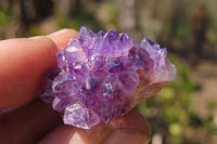 Natural Amethystos Amethyst Specimens x 35 From Kwaggafontein, South Africa