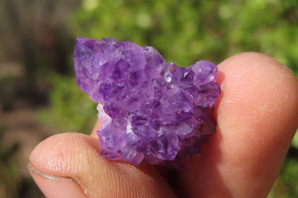 Natural Amethystos Amethyst Specimens x 35 From Kwaggafontein, South Africa