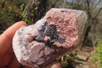 Natural Goethite Coated Blacknite Quartz Crystals x 6 From Madagascar