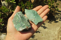 Natural Jade Cobbed Specimens x 24 From Swaziland