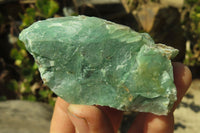 Natural Jade Cobbed Specimens x 24 From Swaziland