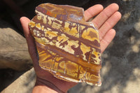 Polished On One Side Nguni Jasper Specimens x 2 From Prieska, South Africa