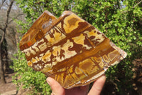 Polished On One Side Nguni Jasper Specimens x 2 From Prieska, South Africa