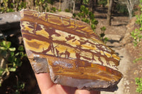 Polished On One Side Nguni Jasper Specimens x 2 From Prieska, South Africa