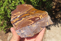 Polished On One Side Nguni Jasper Specimens x 2 From Prieska, South Africa