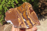 Polished On One Side Nguni Jasper Specimens x 2 From Prieska, South Africa