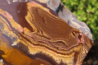 Polished On One Side Nguni Jasper Specimens x 2 From Prieska, South Africa