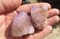 Natural Ametrine Spirit Quartz Crystals x 20 From Boekenhouthoek, South Africa