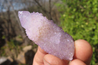 Natural Ametrine Spirit Quartz Crystals x 20 From Boekenhouthoek, South Africa