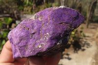 Natural Metallic Purpurite Cobbed Specimens x 6 From Erongo, Namibia