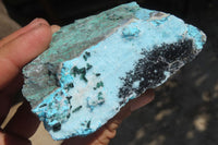 Natural Drusy Coated Chrysocolla Specimens x 4 From Congo