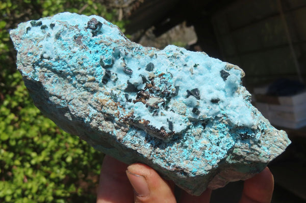 Natural Drusy Coated Chrysocolla Specimens x 4 From Congo