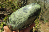 Polished Leopard Stone Free Forms x 3 From Nyanga, Zimbabwe