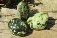 Polished Leopard Stone Free Forms x 3 From Nyanga, Zimbabwe