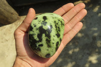 Polished Leopard Stone Free Forms x 3 From Nyanga, Zimbabwe