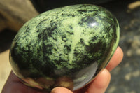 Polished Leopard Stone Free Forms x 3 From Nyanga, Zimbabwe