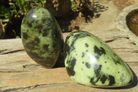 Polished Leopard Stone Free Forms x 3 From Nyanga, Zimbabwe