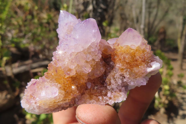 Natural Amethyst / Ametrine Spirit Quartz Clusters x 6 South Africa