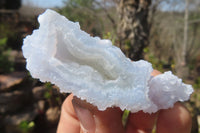 Natural Etched Blue Chalcedony Specimens x 35 From Nsanje, Malawi