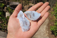 Natural Etched Blue Chalcedony Specimens x 35 From Nsanje, Malawi