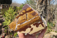 Polished On One Side Nguni Jasper Specimens x 2 From Prieska, South Africa