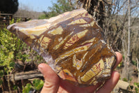 Polished On One Side Nguni Jasper Specimens x 2 From Prieska, South Africa