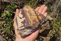 Polished On One Side Nguni Jasper Specimens x 2 From Prieska, South Africa