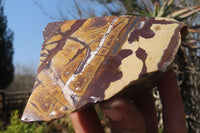 Polished On One Side Nguni Jasper Specimens x 2 From Prieska, South Africa