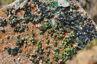 Natural Libethenite Crystals On Dolomite Matrix Specimens x 4 From Shituru, Congo