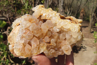 Natural Limonite Quartz Clusters x 2 From Solwezi, Zambia