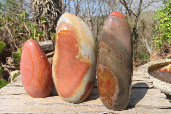 Polished Polychrome Jasper Standing Free Forms x 3 From Madagascar