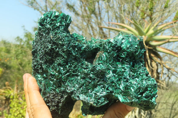 Natural Silky Malachite Specimen x 1 From Kasompe, Congo