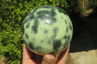 Polished Leopard Stone Spheres x 2 From Nyanga, Zimbabwe