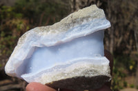 Natural Etched Blue Chalcedony Specimens x 12 From Malawi